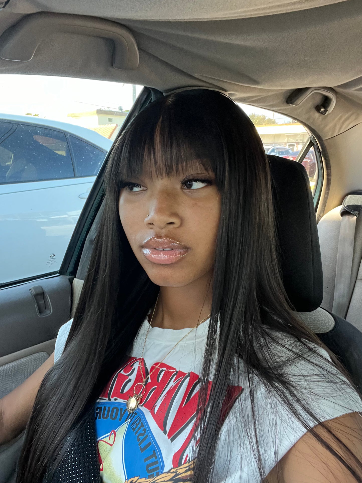 Straight Wig (180% Density)